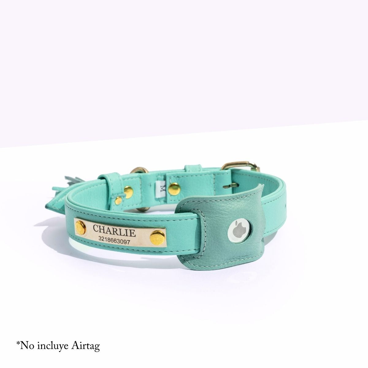 Turquoise AirTag Holder
