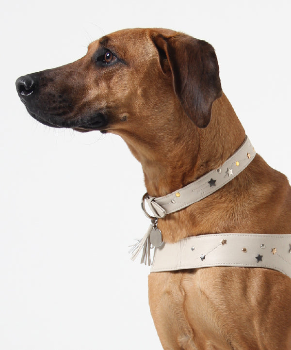 Astral Collar Cuero Beige