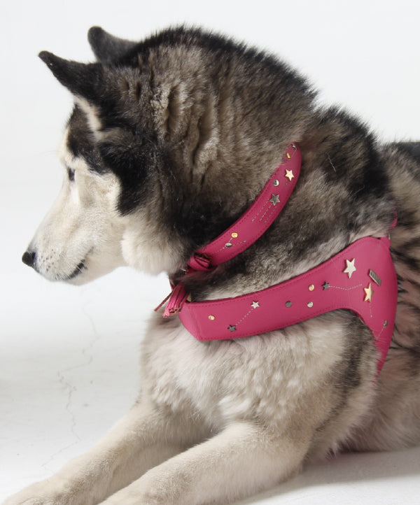 Astral Collar Fucsia